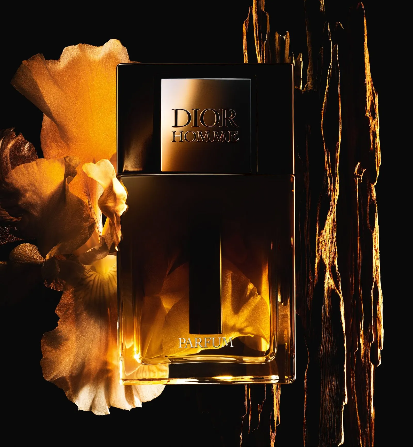 Dior Homme Intense 2025 Decant Original en Guatemala – VelourHaus