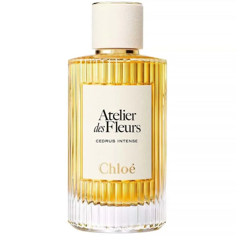 Chloe Cedrus Intense EDP 50ml original – VelourHaus Guatemala